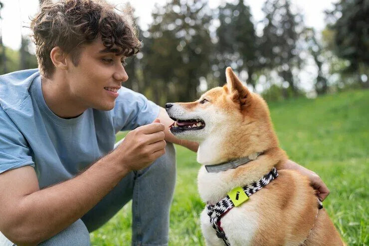 Happy pet with its owner