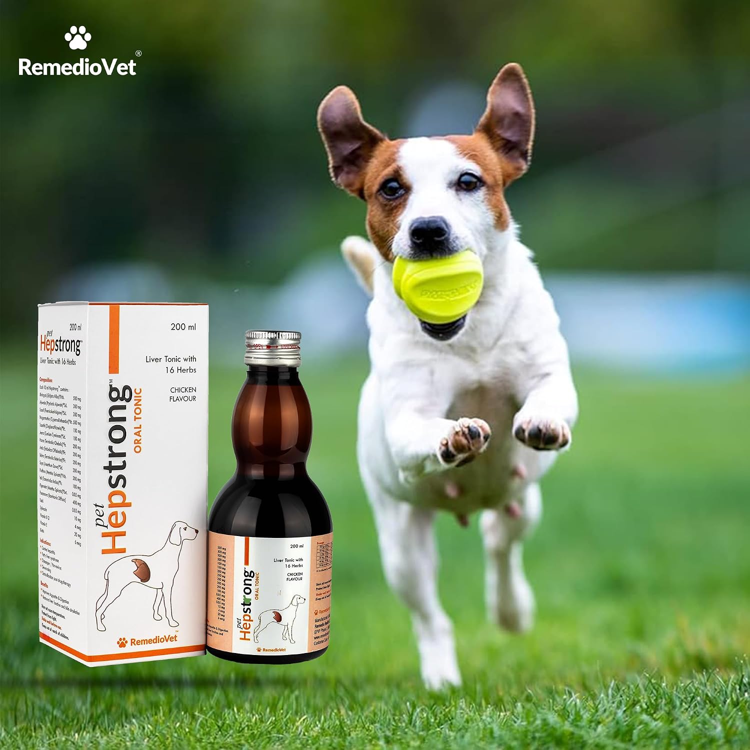 Hepstrong Herbal Liver Tonic for Dogs & Cats – 200ml | Chicken Flavour | Natural Detox, Liver Support and Detoxification | Safe & Vet-Approved Formula
