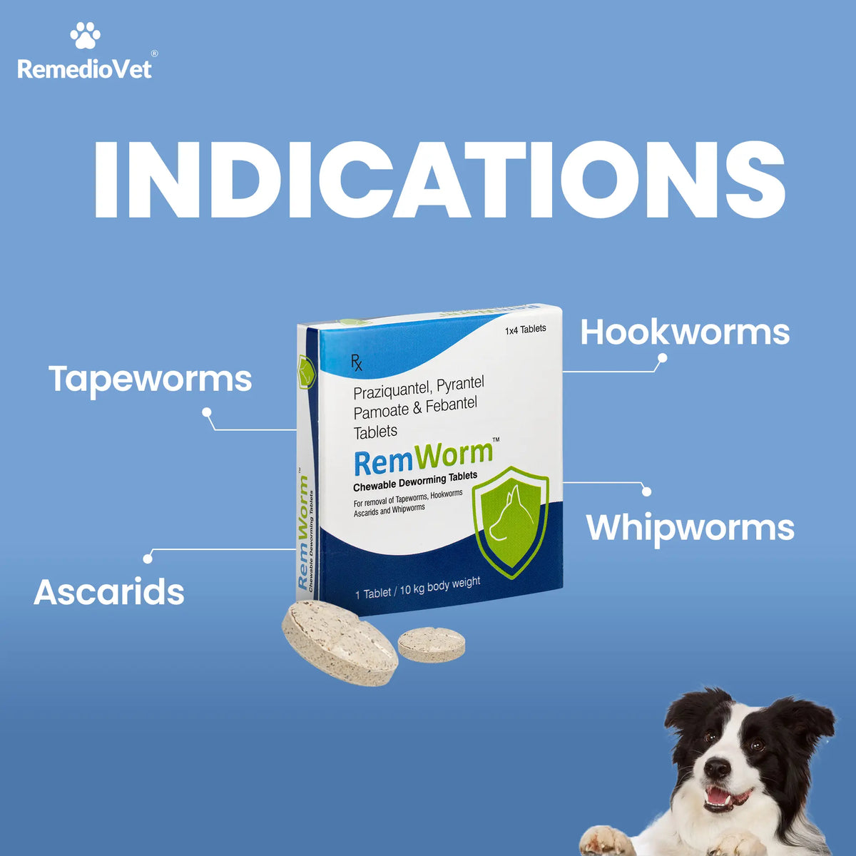 RemWorm Chewable Deworming Tablets for Dogs | Praziquantel, Pyrantel & Febantel | 4 Tablets