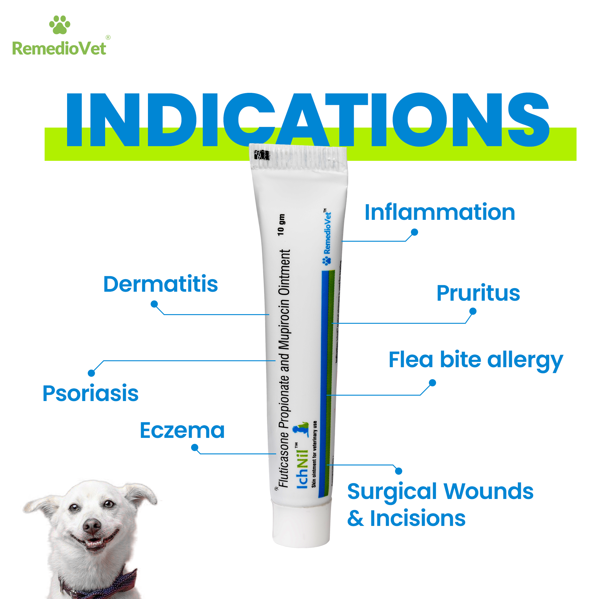 IchNil Veterinary Skin Ointment for Dogs & Cats | Fluticasone Propionate + Mupirocin | 10g