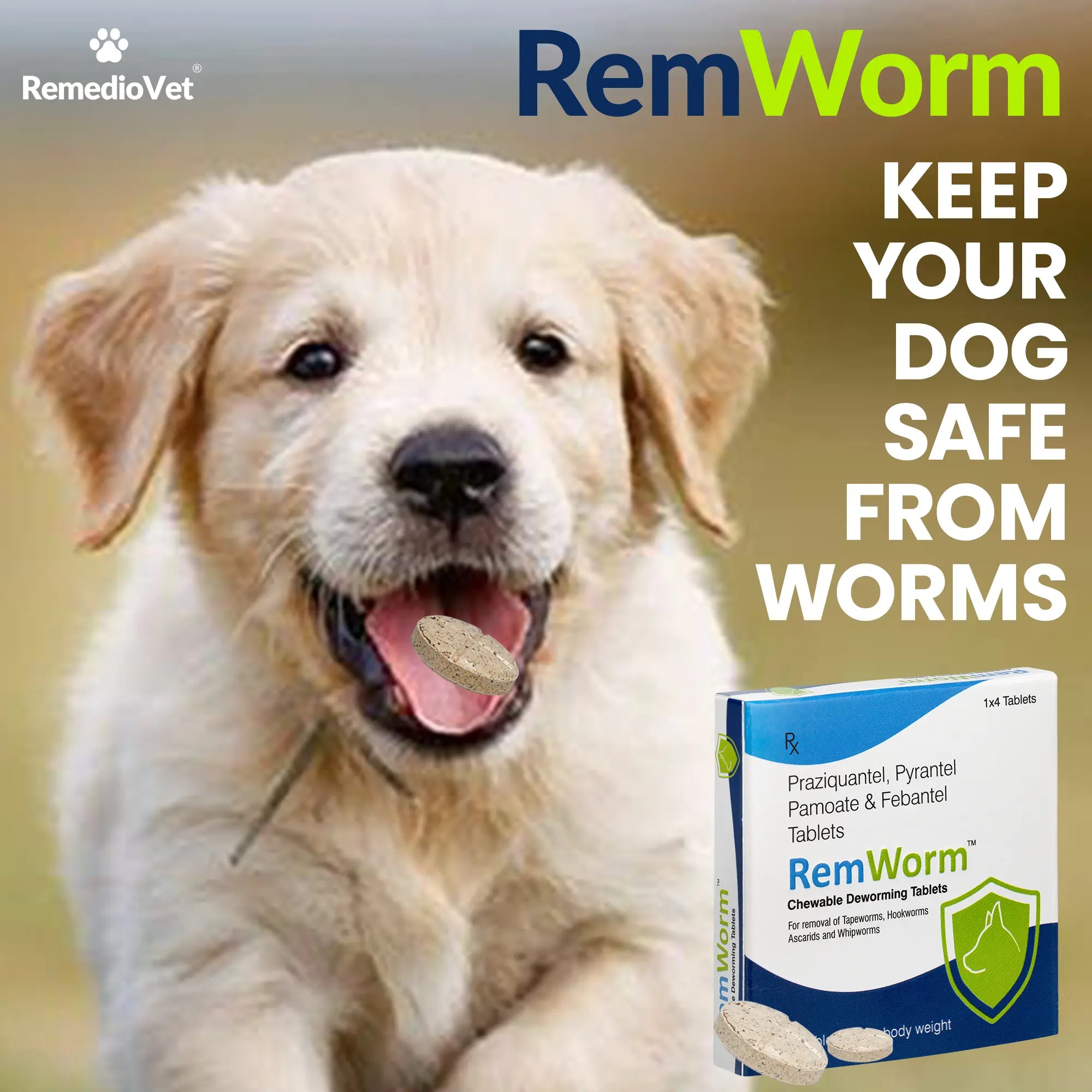 RemWorm Chewable Deworming Tablets for Dogs | Praziquantel, Pyrantel & Febantel | 4 Tablets