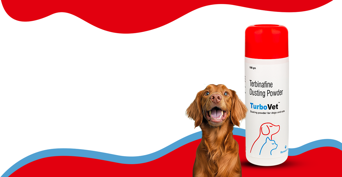 <style>
.TurboVet-heading {
  font-family: 'Lato Heavy', sans-serif !important;
  font-size: 90px !important;
  font-weight: 400 !important;
  margin: 0 !important;
  padding: 0 !important;
  line-height: 1 !important;
  -webkit-text-stroke: 0.5px currentColor;
}

@media (max-width: 749px) {
  .combo-pack-heading {
    font-size: 55px !important;
  }
}
</style>

<h2 class="combo-pack-heading">Health <br>
Combo Pack</h2>