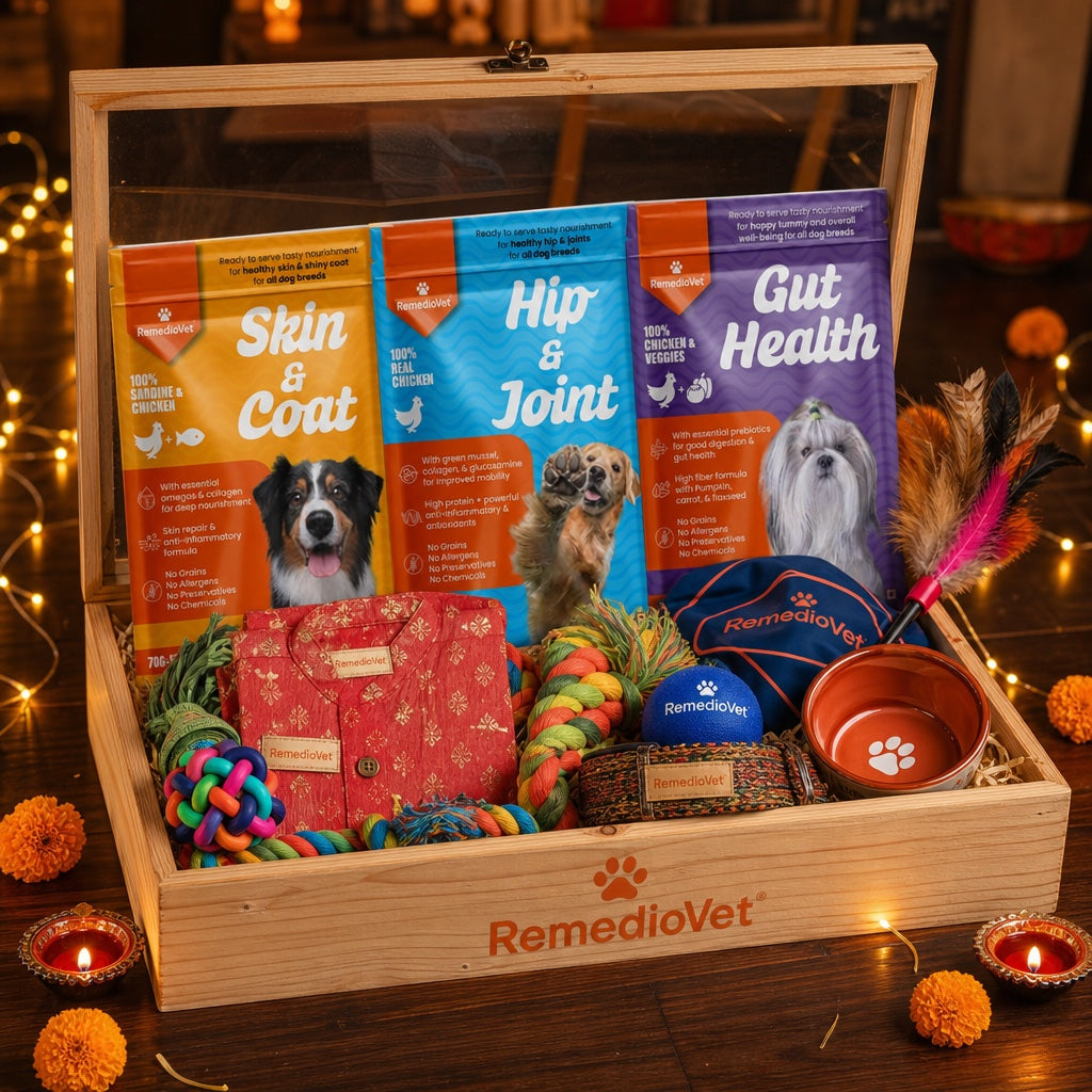 Premium Diwali Box – For Dogs