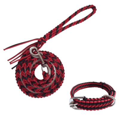 The ultimate dog leash and collar set for medium & large breeds